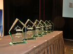 affiliate_summit_2010_pinnacle_award.jpg