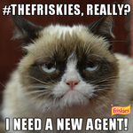 grumpy_cat_the_friskies.png
