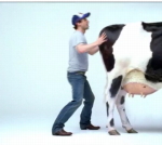 hipster-shaking-cow.jpg