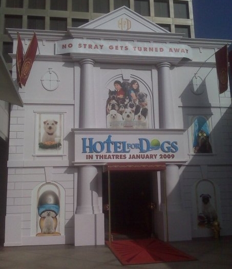 Dogs Get Pop Up 'Hotel For