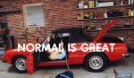 normal_is_great.jpg