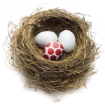 oid nest eggs.jpg