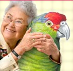 parrot-for-state-bird.jpg