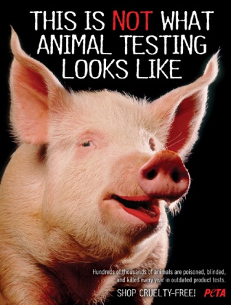 animal testing pictures. peta-animal-testing.jpg. -