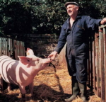 pig-and-farmer.jpg