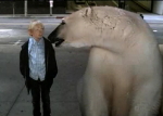 polar-bear-buddy.jpg