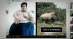 rhino_hijack_videos.jpg
