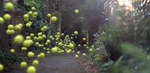 sony_balls_tennis.jpg