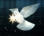 stella-paper-bird.jpg