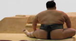 sumo-wrestler.jpg