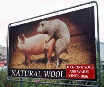 wool_ass.jpg