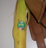 banana_jungle_book.jpg