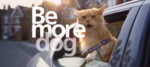 be_more_dog.png