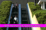 branded_escalator.png