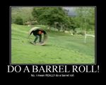do_a_barrel_roll_really.jpg