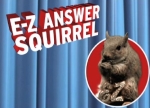 ez_squirrel.jpg