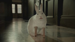 peg_legged_rabbit.jpg