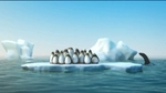 penguins_delijn.jpg