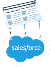 salesforce_magnify.png
