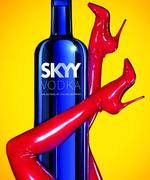 skyy_vodka_sex_with_bottle.jpg